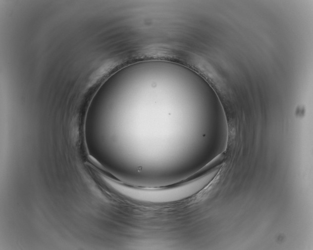 X0000096150158200802011240