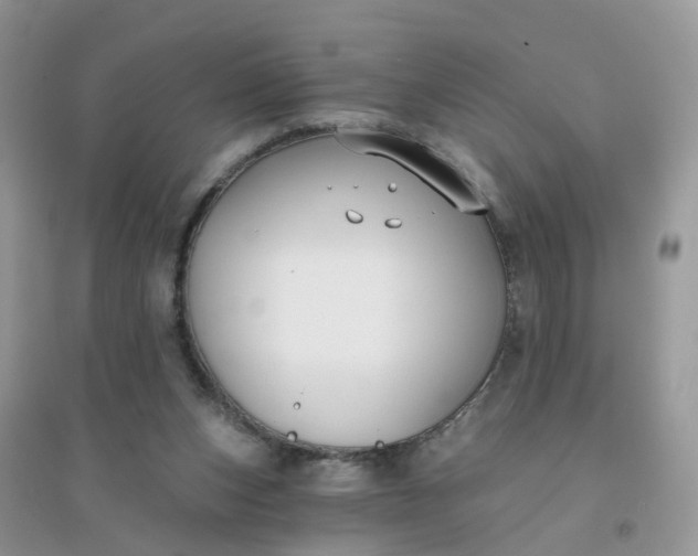 X0000096150159200802011240