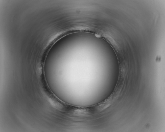 X0000096150160200802011240