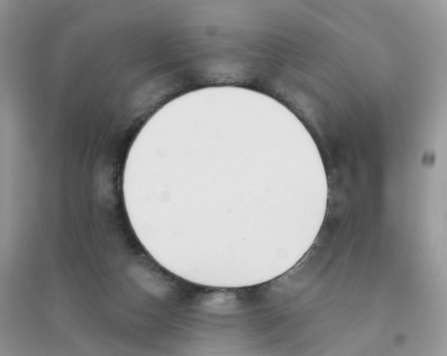 X0000096150162200802011240