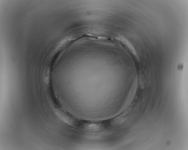 X0000096150163200802011241