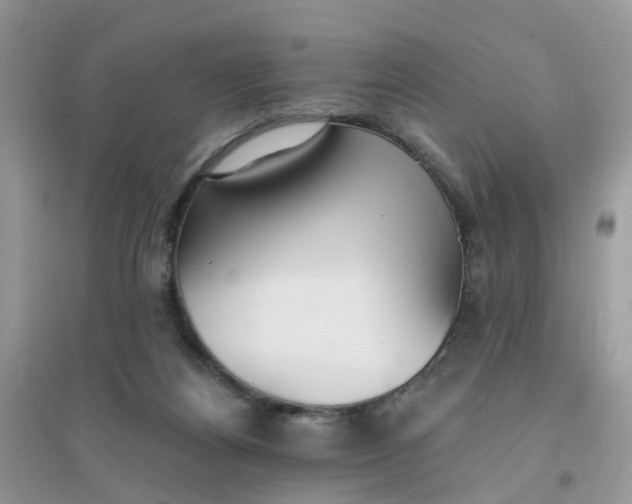 X0000096150164200802011241