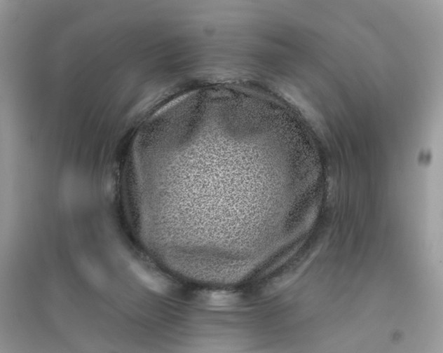 X0000096150165200802011241