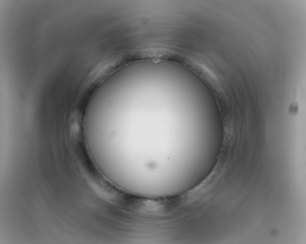 X0000096150166200802011241