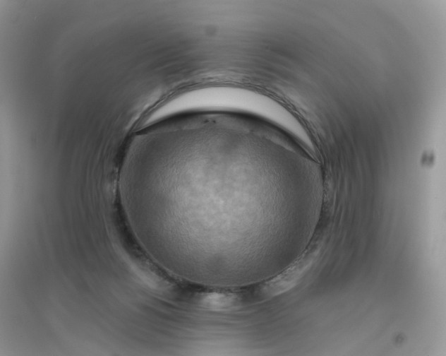 X0000096150168200802011241