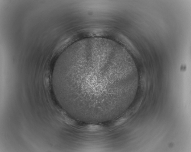 X0000096150169200802011241
