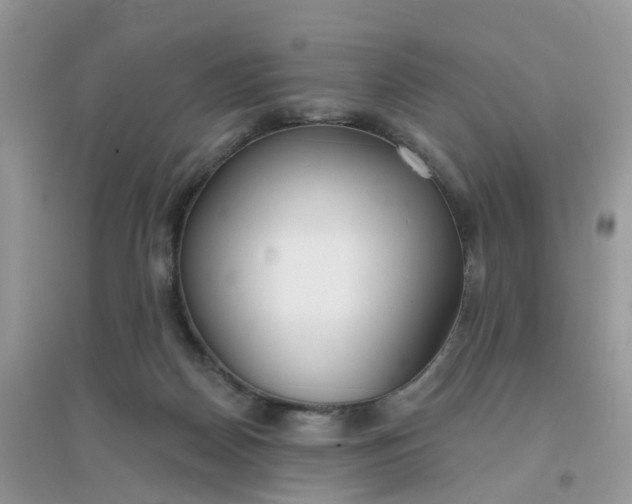 X0000096150170200802011241