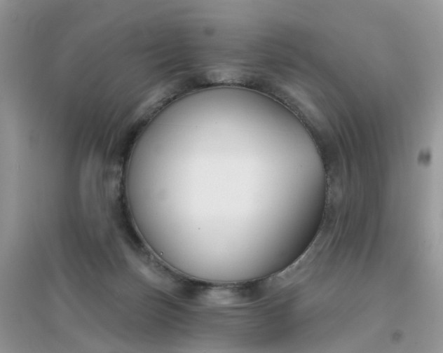 X0000096150171200802011241