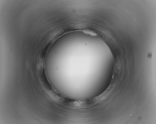 X0000096150172200802011241