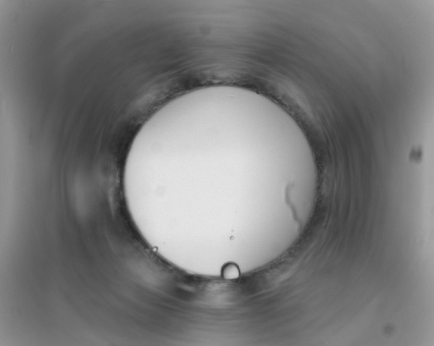 X0000096150173200802011241