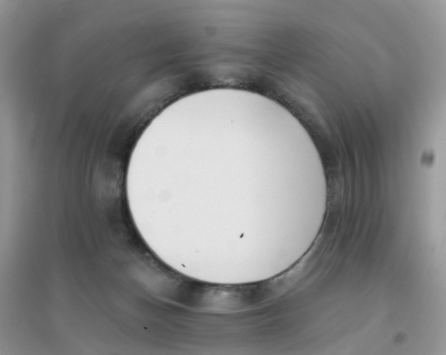 X0000096150174200802011241