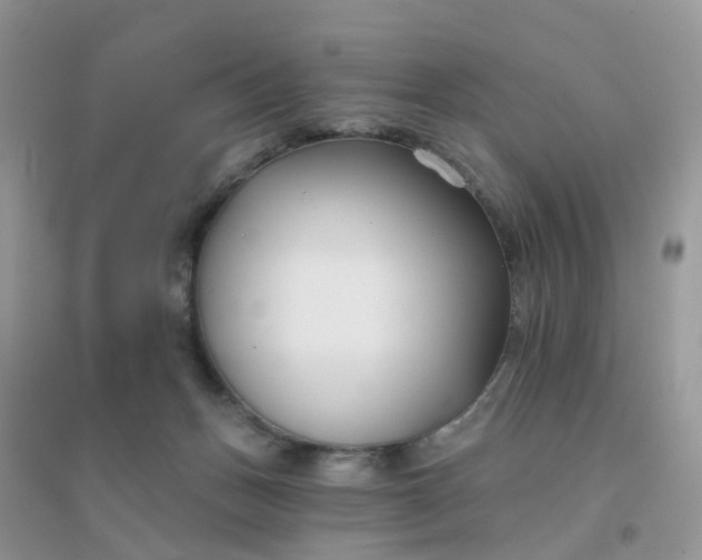 X0000096150175200802011241