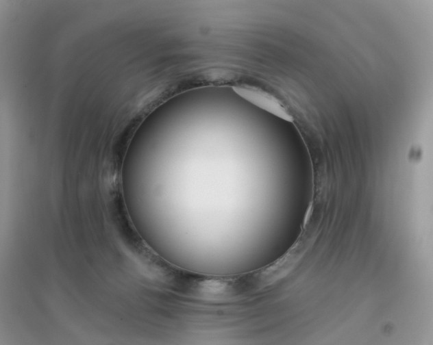 X0000096150176200802011241