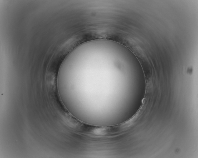 X0000096150178200802011241