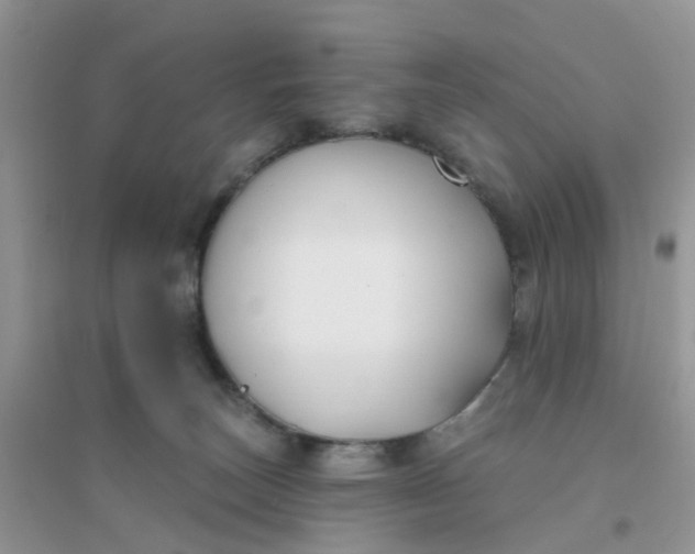 X0000096150179200802011241