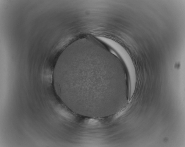 X0000096150180200802011241