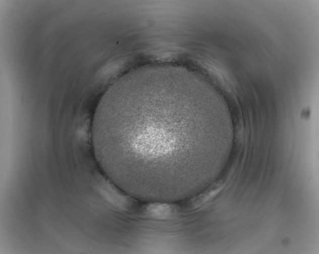 X0000096150181200802011241