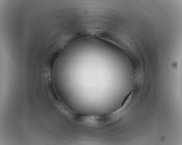 X0000096150182200802011241