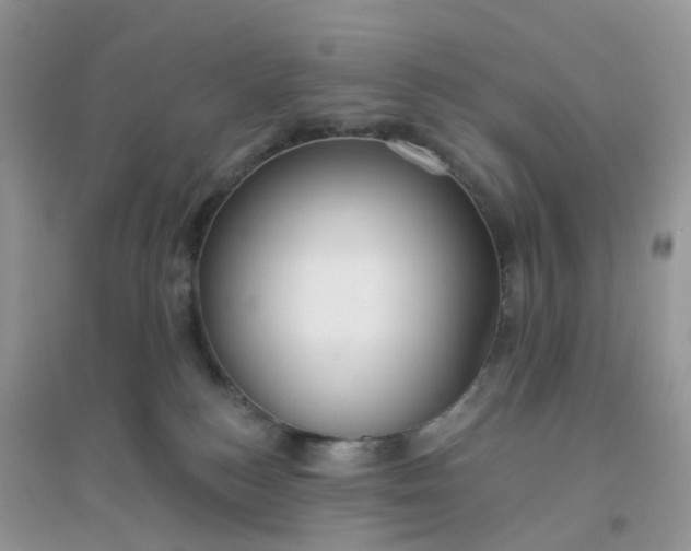X0000096150184200802011241