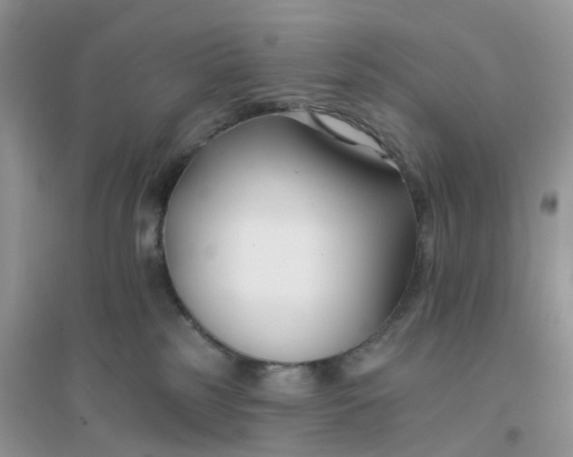 X0000096150185200802011241