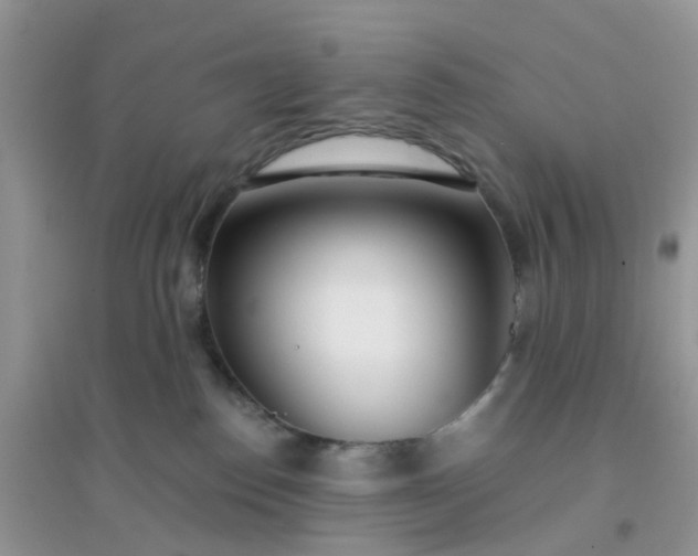 X0000096150186200802011241