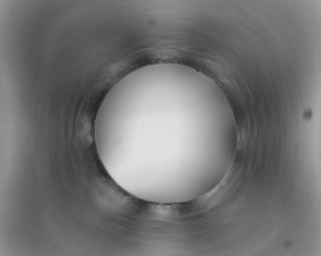 X0000096150187200802011241