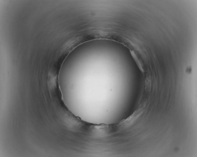 X0000096150188200802011241