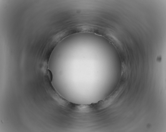 X0000096150189200802011241