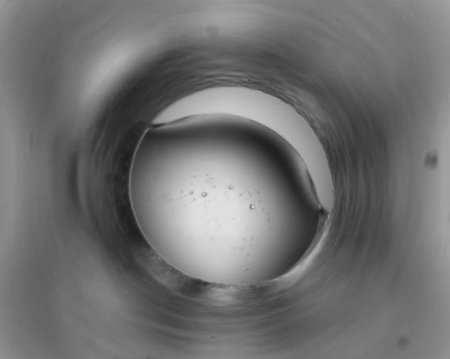 X0000096150190200802011241