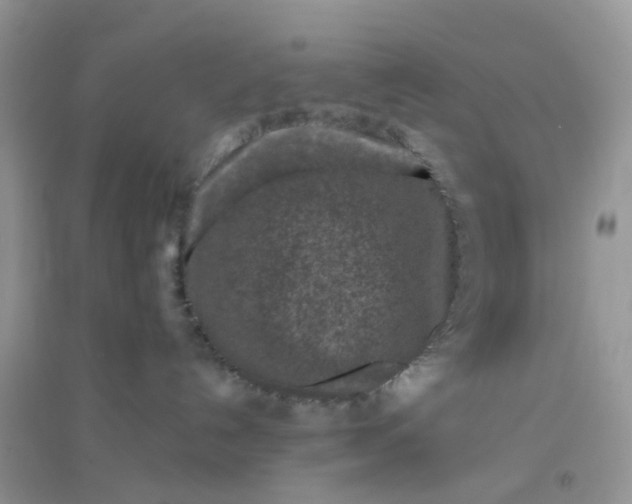 X0000096150192200802011241