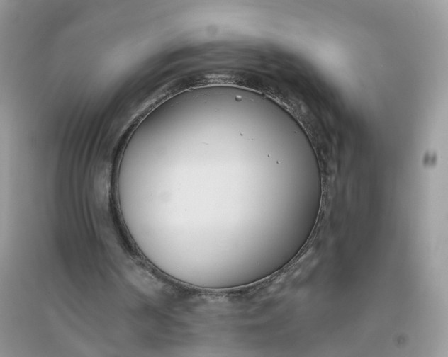 X0000096150194200802011240