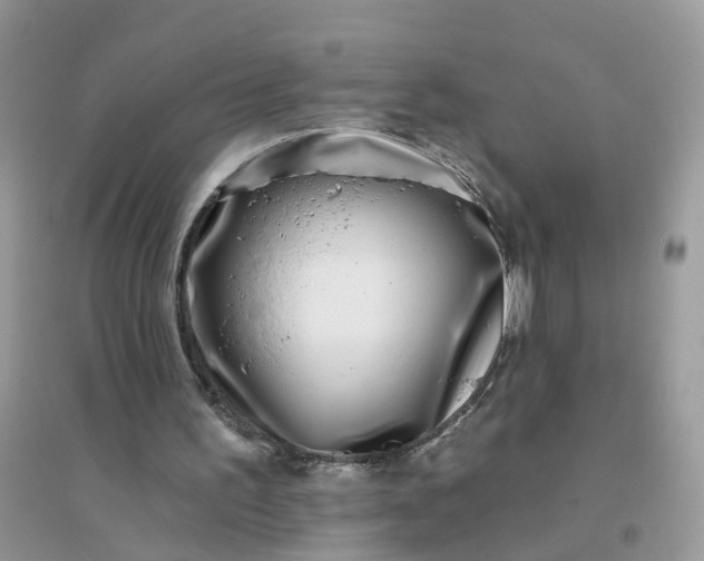X0000096150195200802011240