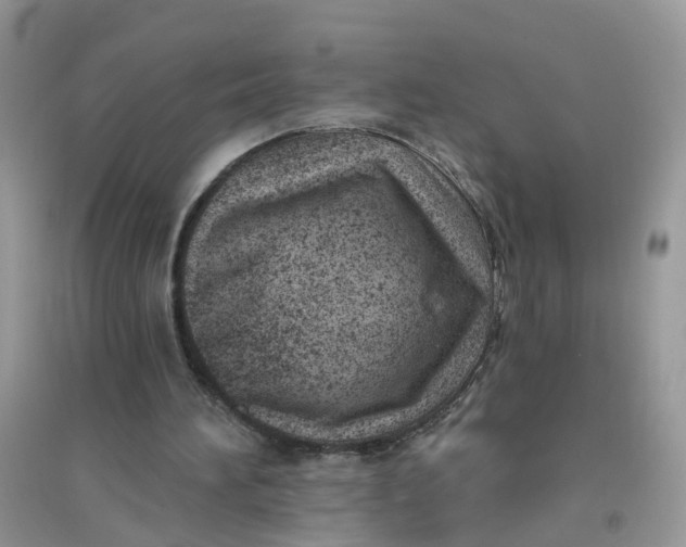 X0000096150196200802011240