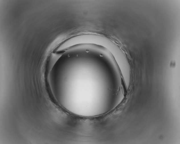 X0000096150197200802011240