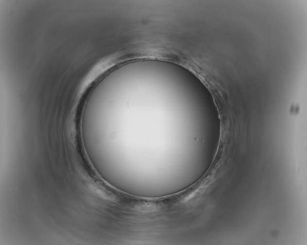 X0000096150198200802011240