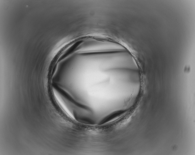 X0000096150199200802011240