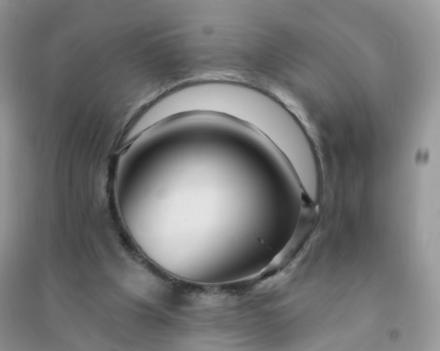 X0000096150201200802011240