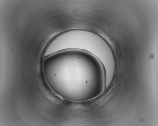 X0000096150203200802011240