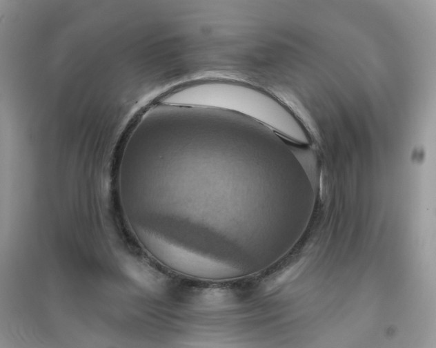 X0000096150204200802011240
