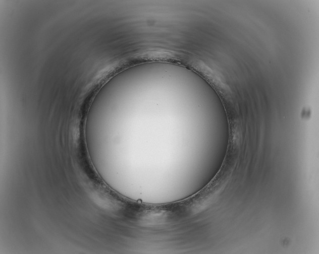 X0000096150206200802011240