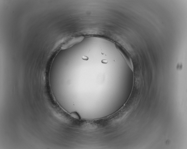 X0000096150207200802011240