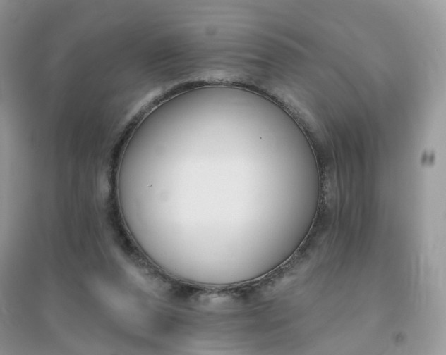 X0000096150208200802011240