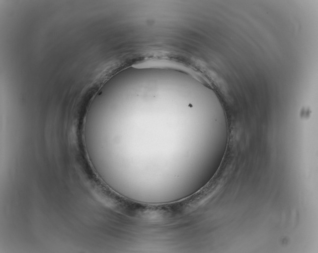 X0000096150209200802011240