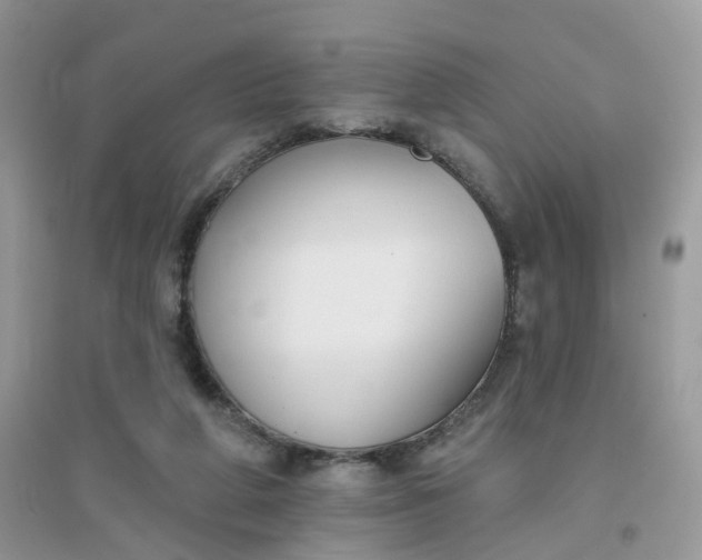 X0000096150210200802011240