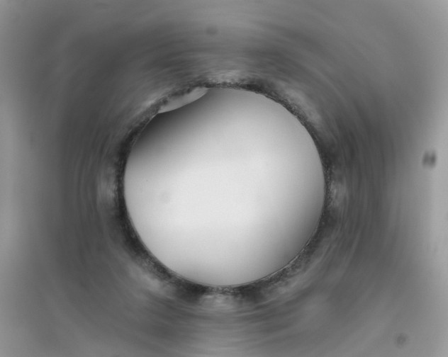 X0000096150211200802011240