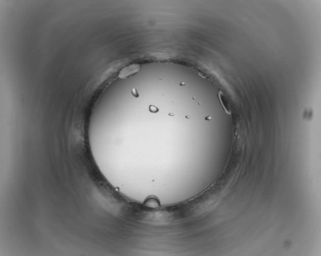 X0000096150212200802011240