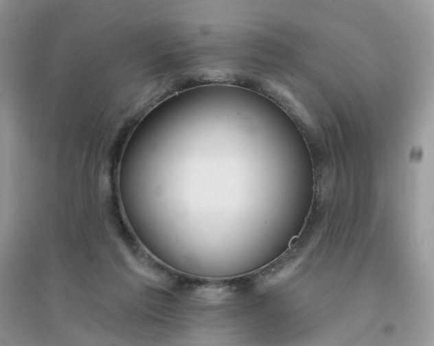 X0000096150213200802011240