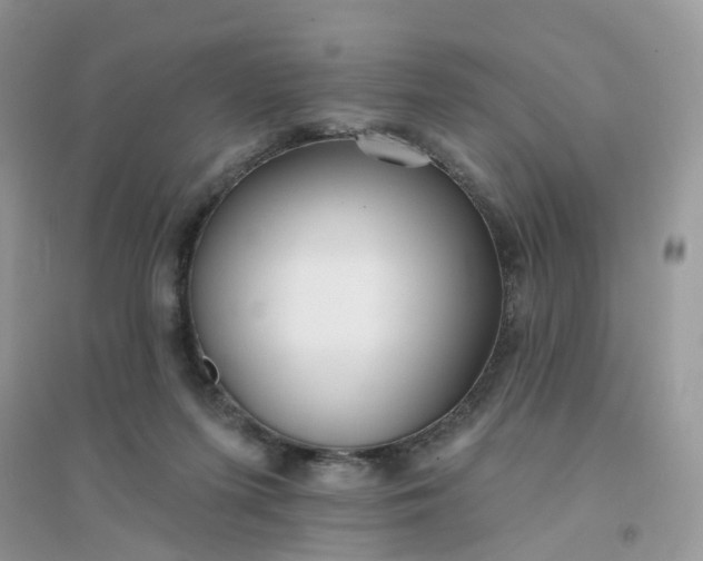 X0000096150215200802011240