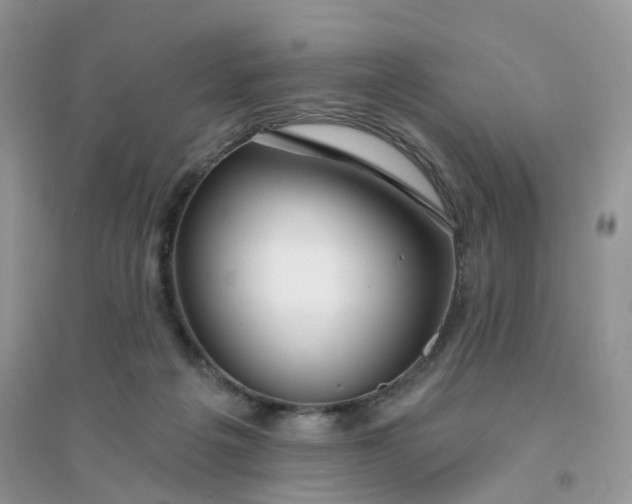 X0000096150217200802011240
