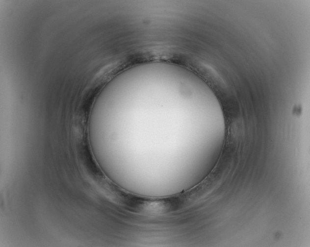 X0000096150218200802011240